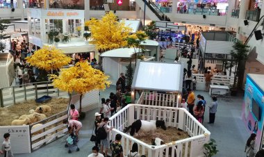 ซีคอนสแควร์ เนรมิตลานน้ำพุมยกโขยงความน่ารักฝูงสัตว์หน้า “อรุ่มเจ๊าะ”