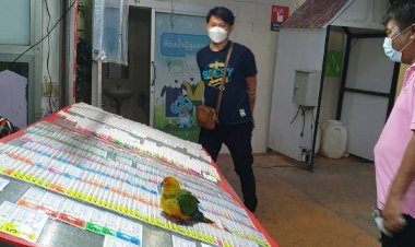 เซียนหวยแห่พึ่ง!"เฮงเฮง"นกแก้วแสนรู้ จิกหวยช่วยลุ้นโชคก้อนโต