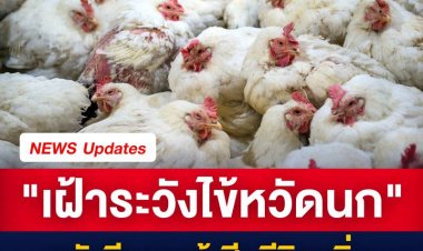 "เฝ้าระวังไข้หวัดนก" หลังจีนพบผู้เสียชีวิตเพิ่ม เตือน หากพบสัตว์ปีกตายผิดปกติ ให้รีบจนท.ทันที
