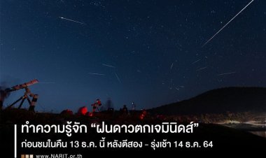คืน 13-14 ธ.ค.ห้ามพลาดชมฝนดาวตกเจมินิดส์หลังตี2จรดเช้าตรู่