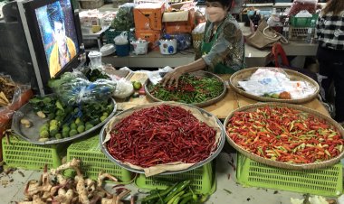 พริกยะลาพุ่งปรี๊ด กิโลกรัมละกว่า 200 บาท