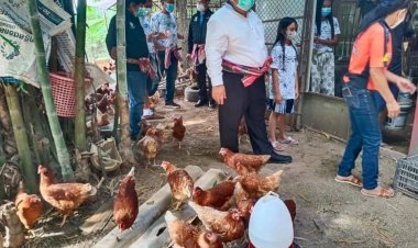 ลายแทงลุงตู่!เลี้ยงไก่2ตัวแพร่พันธุ์เป็น 100 ตัวจนสู้วิกฤติศก.ได้จริง