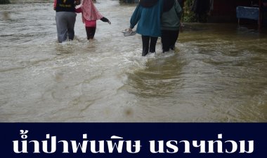 นราฯ น้ำป่าพ่นพิษพนังกั้นน้ำพังทำน้ำท่วมแล้ว 4 อำเภอ  โก-ลกหนักสุดถึงขั้นตัดไฟฟ้า