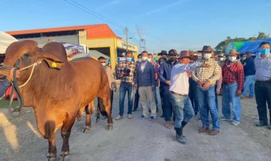 ยกระดับ"มหกรรมงัวแลนด์วังหิน"งานระดับจังหวัด