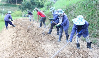 ชาวเบตงได้รับผลกระทบโควิดจากมาเลเซียเข้าทำงานฟาร์มตัวอย่าง