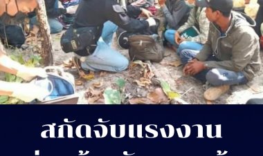 สกัดจับแรงงานต่างด้าวลักลอบเข้าไทย 13 คน
