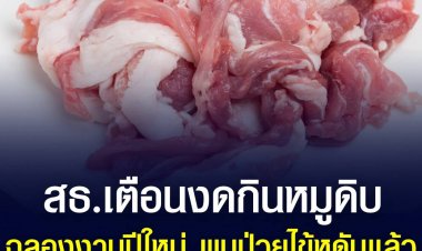 สธ.เตือนงดกินหมูดิบ ฉลองงานปีใหม่ พบป่วยไข้หูดับแล้ว 557 ราย เสียชีวิต 24 ราย