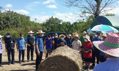 พ่อเมืองอุทัยธานีลุยสาธิตการเก็บเกี่ยวอ้อยโรงงานแก้ฝุ่น PM 2.5