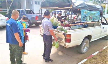 ทหารน่าน กิ๊บเก๋  มอบบทเพลง–ผักปลอดภัยขวัญปีใหม่(ชมคลิป)