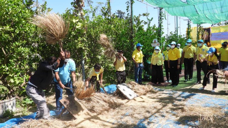 ศรีสะเกษจัดกิจกรรมวันดินโลก World soil Day ปี 2564 -สัปดาห์วันพัฒนา (มีคลิป)