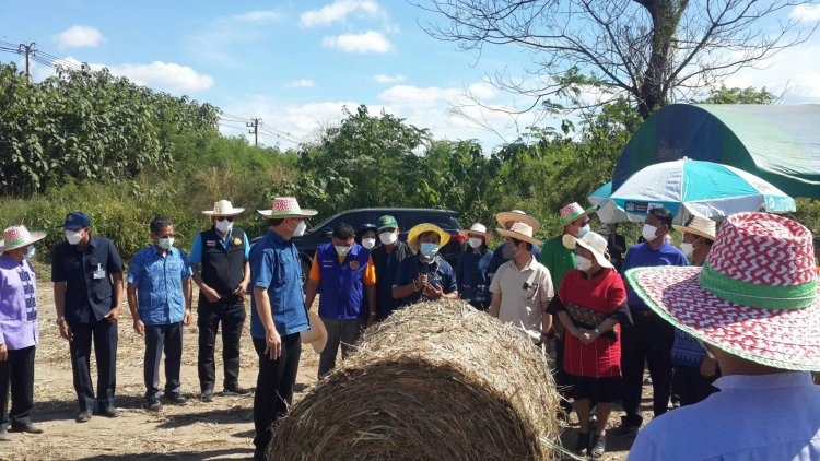 พ่อเมืองอุทัยธานีลุยสาธิตการเก็บเกี่ยวอ้อยโรงงานแก้ฝุ่น PM 2.5