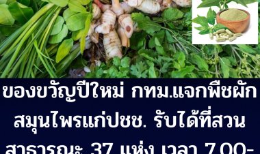 กทม.แจกพืชผักสมุนไพรแก่ประชาชนต้อนรับปีใหม่