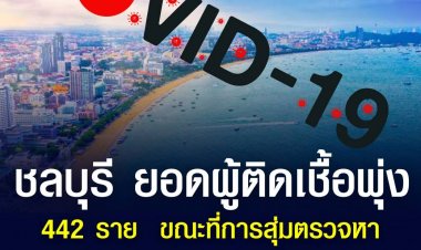 ชลบุรี ยอดผู้ติดเชื้อพุ่ง 442 ราย  ขณะที่การสุ่มตรวจหาสายพันธุ์ที่พัทยาพบเป็น 'โอไมครอน' ถึง 81 %