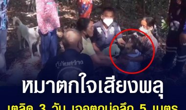 เจ้าของประกาศตามหาหมาตกใจกลัวพลุ ช่วงปีใหม่หายไป 3 วันก่อนพบตกอยู่ในบ่อน้ำ