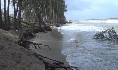 คลื่นลมแรงซัดแนว"ต้นสน"ชายฝั่งสงขลาพังยับ(ชมคลิป)