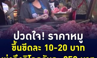 สายบุฟเฟ่ต์-หมูกระทะต้องปวดใจ!  ราคาปรับขึ้นขีดละ 10-20 บาท ผลกระทบจากราคาหมูสดพุ่งถึงกิโลกรัมละ 250 บาท แพงสุดในรอบ 20 ปี