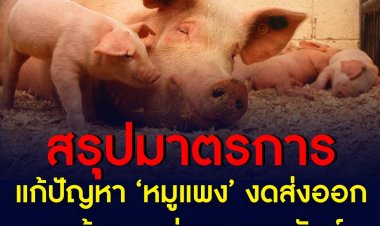 หมูแพง? แก้ไม่ยาก! รัฐสั่งห้ามส่งออกแก้หมูขาดตลาด