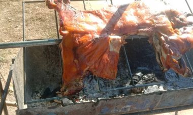 หมูแพงดันหมูหันราคาพุ่งกระฉูดกิโลกรัมละ 230 บาท (มีคลิป)