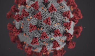 ไทยติดเชื้อโควิดพุ่ง  7,526 ราย  จากต่างประเทศ 348 ราย ดับเพิ่ม 19 ศพ