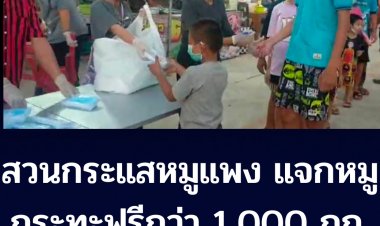 สวนกระแสหมูแพงแจกหมูกะทะฟรี! พันกว่ากิโลกรัม