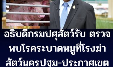 ปศุสัตว์รับตรวจพบ ASF โรคระบาดหมูที่โรงฆ่าสัตว์นครปฐม จ่อทำลายสุกรที่สงสัยว่าเป็นโรค -ประกาศเขตโรคระบาดรัศมี 5 กม.-รายงานองค์การโรคระบาดสัตว์ระหว่างประเทศ (OIE)