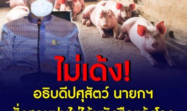 ยังไม่เด้ง! อธิบดีกรมปศุสัตว์ นายกฯ สั่งสอบข้อเท็จจริงที่หนังสือแจ้งการระบาดโรคอหิวาห์แอฟริกาในสุกรไปไม่ถึง