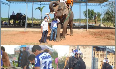 เปิดแลนด์มาร์คแห่งใหม่ สืบสานตำนานช้างเมืองพญาแล