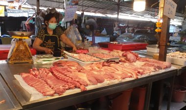 แพงทั้งแผ่นดิน!หมูหน้าฟาร์มขยับอีกกก.ละ5-ไข่ไก่ เนื้อไก่ขยับตาม