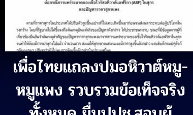พรรคเพื่อไทยออกแถลงการณ์ปมโรคระบาดอหิวาต์หมู-ราคาหมูแพง -รวบรวมหลักฐานยื่นปปช.สอบผู้เกี่ยวข้อง