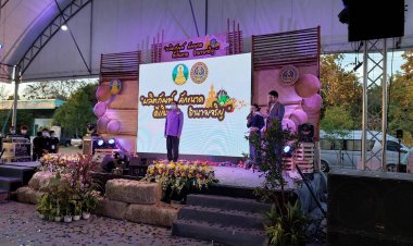 ผลิตภัณฑ์ คักขนาด ดีเกินคาด อํานาจเจริญ