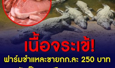 ฟาร์มจระเข้ ใน อ.ดอนตูม จ.นครปฐม ได้นำเนื้อจระเข้มาชำแหละขาย หวังให้คนมาซื้อไปทำอาหาร ยืนยันรสชาติดีกว่าเนื้อหมู ให้โปรตีนสูง และไม่มีไขมันด้วย