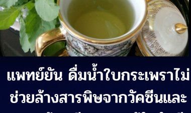 แพทย์ยัน ไม่เป็นความจริงกรณีสังคมออนไลน์แชร์ดื่มน้ำใบกะเพรา ช่วยล้างสารพิษจากวัคซีนได้