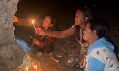 คนสุรินทร์แห่ส่องหวยต้นจานใหญ่อายุ 100 ปี (มีคลิป)