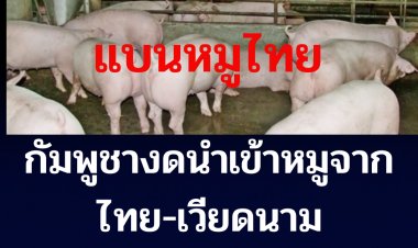 กัมพูชา ระงับนำเข้าหมูจากไทยและเวียดนาม