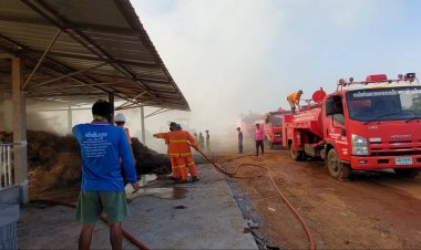 สลด!คอกวัวเพลิงลุกไหม้ลามกองฟางหวิดคลอกวัวทั้งฟาร์ม