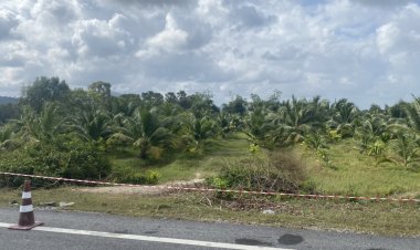 คนร้ายบึ้มสวนมะพร้าวดังสนั่นหวังข่มขู่ชาวพุทธปะนาเระ