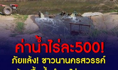 ชาวนาในเขตชลประทานจังหวัดนครสวรรค์ต้องซื้อน้ำทำนาในราคาไร่ละ 500 บาท หลังคลองชลประทานแห้งขอดน้ำไม่เพียงพอต่อการปลูกข้าว 