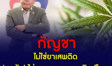 ‘กัญชา’ ไม่ใช่ยาเสพติด ‘ศุภชัย’ ไม่ทนกฎหมายถูกบิดเบือน