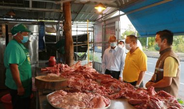 ผู้เลี้ยงสุกรเลิกกิจการ อาหารสัตว์แพงสุดๆแถมเชื้ออหิวาต์หมูระบาดหนัก  วอนภาครัฐดูแลด้วย   ผู้บริโภคเมินเนื้อหมูที่แพงเกินเหตุหันไปกินอาหารตามธรรมชาติพ่อเมืองลงตรวจสอบโรคอหิวาต์หมู