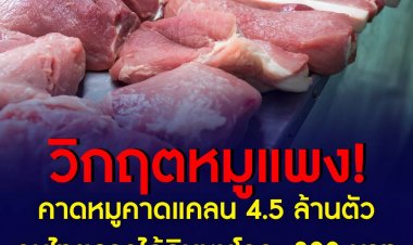 นักวิชาการคาดปีนี้ หมูขาดแคลน 4.5 ล้านตัว คนไทยอาจได้กินหมูกิโลกรัมละ 300 บาท  