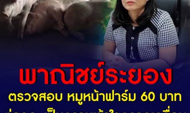 พาณิชย์จังหวัดระยอง เผย หลังลงพื้นที่ตรวจสอบข้อเท็จจริงกรณีหมูหน้าฟาร์ม 60 บาทต่อกิโลกรัม ยืนยัน เป็นความเข้าใจคลาดเคลื่อน