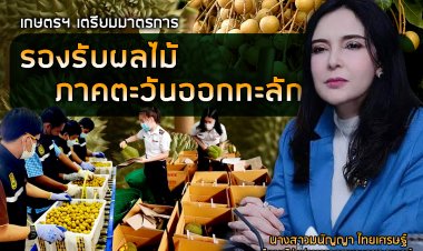 เกษตรฯ เตรียมมาตรการรองรับผลไม้ภาคตะวันออกทะลัก