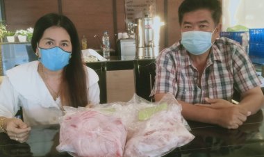 หมูแพงปลุกคนปราจีนฯกินเนื้อจระเข้แทนถูกอร่อยกก.ละ 50 บาท