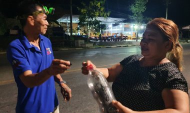 ชาวเบตงแห่จับจั๊กจั่นขายเปิบเมนูเด็ด 2 ปีมีครั้งสร้างรายได้ยุคโควิด