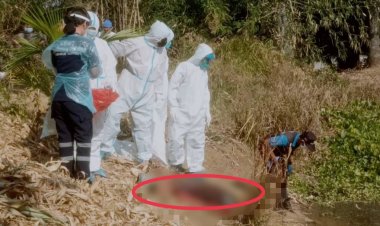 มรดกเลือด!น้องเมียแค้นควงมีดกะซวกพี่เขยดับคาสระ