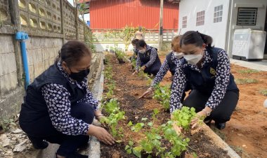 มมท.ยะลาเดินหน้าโครงการ"บ้านนี้มีรัก ปลูกผักกินเอง”ลดค่าใช้จ่าย