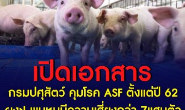 เปิดเอกสาร กรมปศุสัตว์ คุมโรค ASF ตั้งแต่ปี 2562  ผงะ! พบหมูมีความเสี่ยงกว่า 7แสนตัว