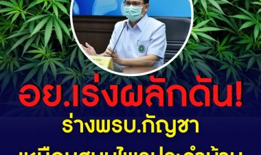อย. จัดทำ ร่าง พ.ร.บ. กัญชา กัญชง พ.ศ... เน้นคุมนันทนาการและส่งเสริมการใช้ประโยชน์อย่างเต็มที่