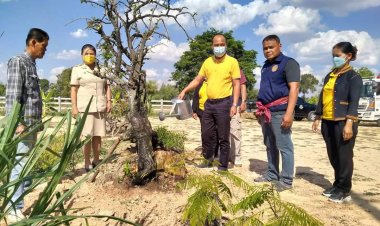 นอภ.อุทุมพรพิสัย อนุรักษ์ต้นไม้ท้องถิ่น ปลูกต้นตะโกนา