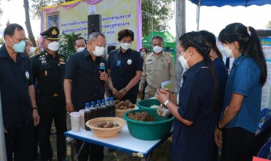 พ่อเมืองอำนาจเจริญเร่งยกระดับความเป็นอยู่เกษตรกร